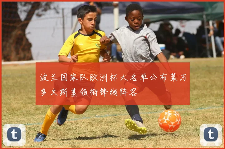 波兰国家队欧洲杯大名单公布莱万多夫斯基领衔锋线阵容